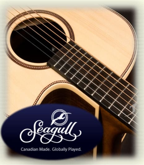 Canadian made deals acoustic guitars